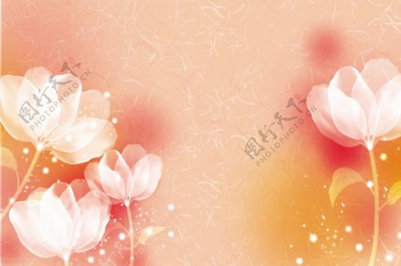 粉红色清新自然淡雅装饰画素材