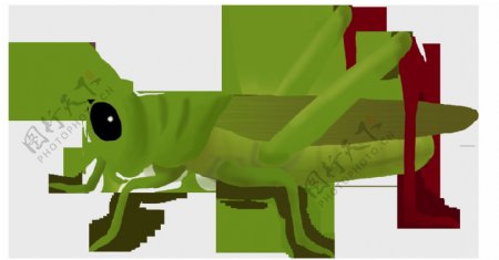 手绘绿色蝗虫侧面图免抠png透明素材