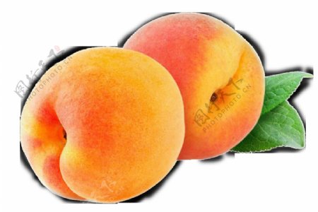 新鲜桃子图片免抠png透明图层素材