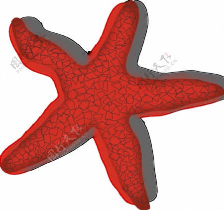 红色海星图片免抠png透明图层素材