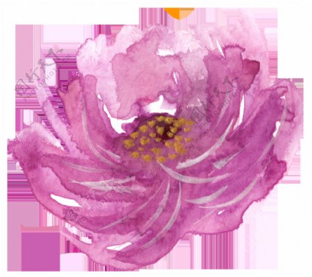 紫色鲜花卡通透明素材
