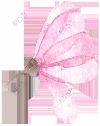 粉色精美花卉卡通透明装饰素材