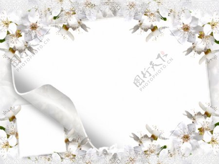 白色高雅花卉边框免抠psd透明素材