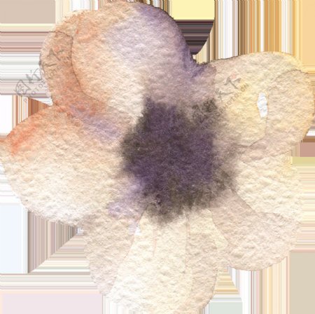 素雅简洁花卉卡通水彩透明素材