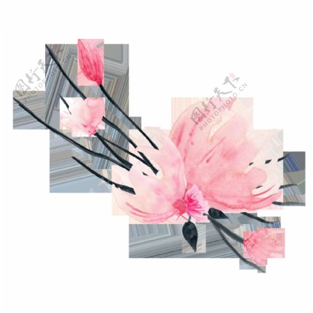 日系花卉透明素材