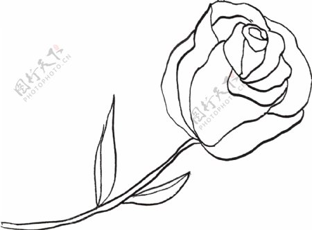 手绘浪漫玫瑰花卡通透明素材