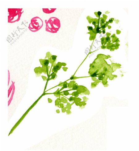 碧绿植物卡通透明素材