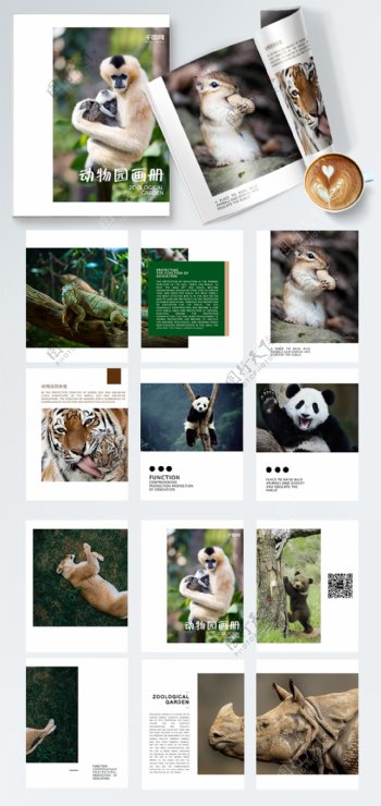 野生动物园高端简洁宣传册画册