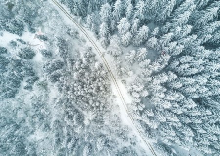 俯瞰大雪覆盖的森林风景