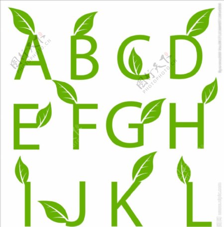 叶子英文字母设计