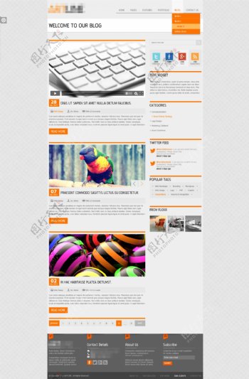 企业精美的电子科技商务创意抽象网站之博客