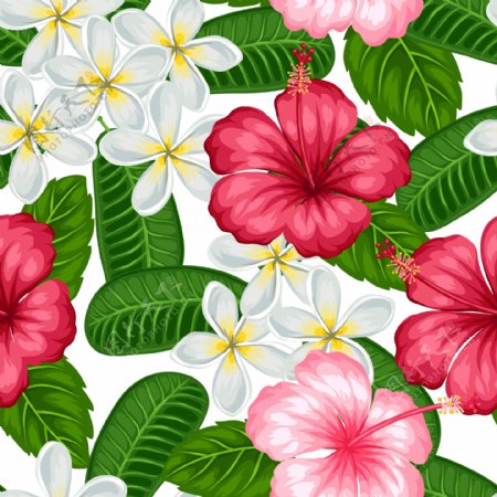 清新美丽的热带花朵插画
