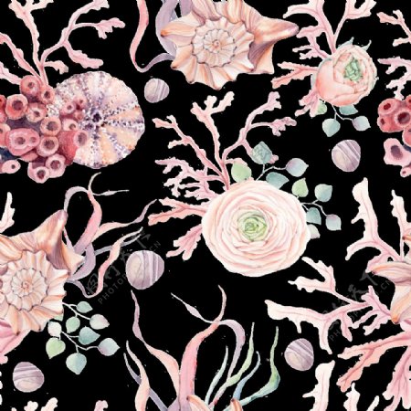 手绘粉红色的海螺背景素材