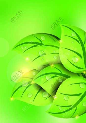 绿色树叶背景装饰