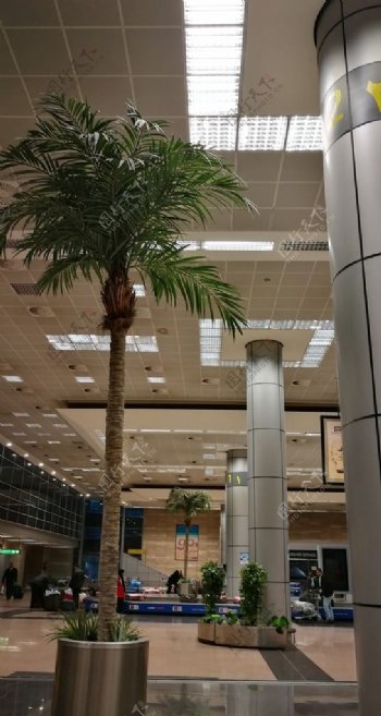 开罗机场