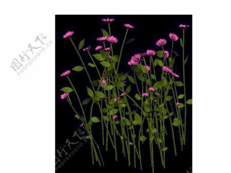 卡通紫色花朵植物png元素