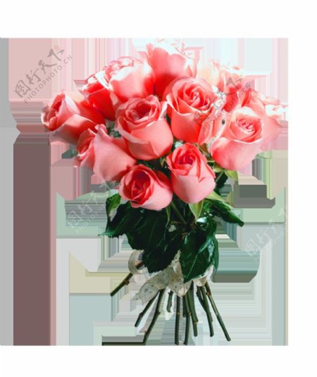 浪漫粉色玫瑰花花朵花束实物元素