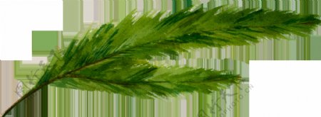 一片绿色分叉的树叶透明素材