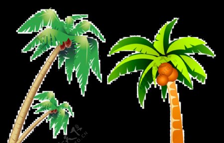 热带椰树元素图片