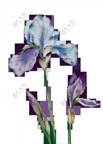 唯美彩绘紫蓝色花朵元素