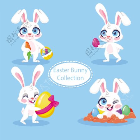 复活节兔子系列素材