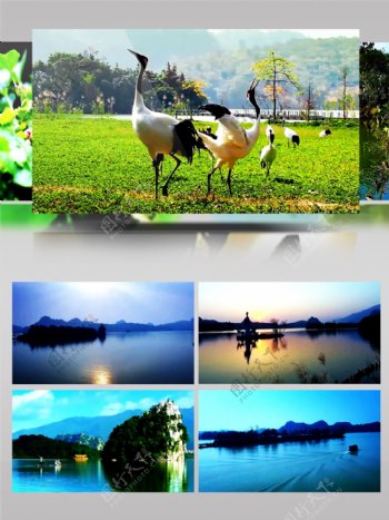 广东星湖国家湿地公园风景视频素材