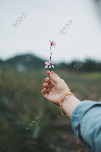 手拿鲜花