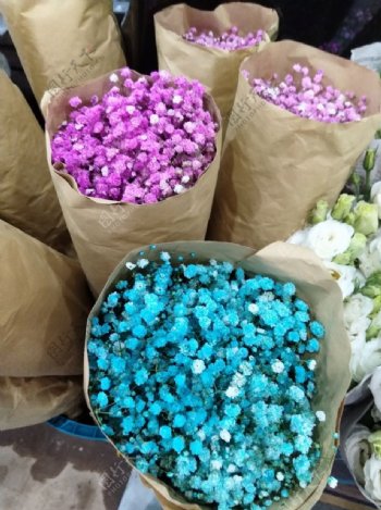 花卉市场的彩色满天星