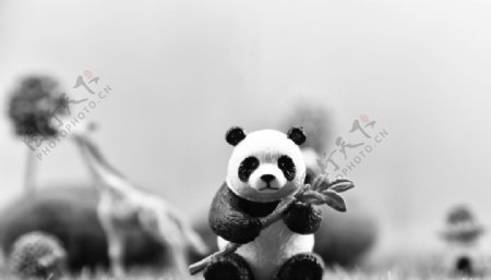 熊猫照