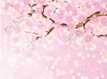 粉色唯美樱花树木元素