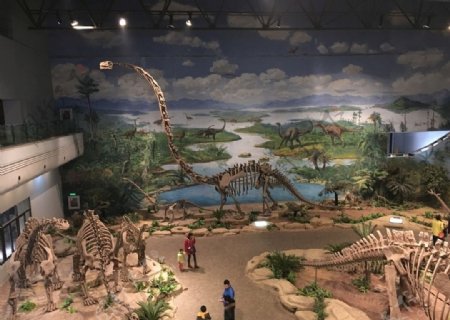 恐龙蛋化石恐龙蛋恐龙自贡