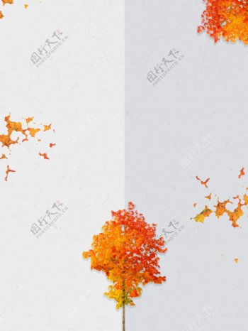 创意秋季落叶背景素材