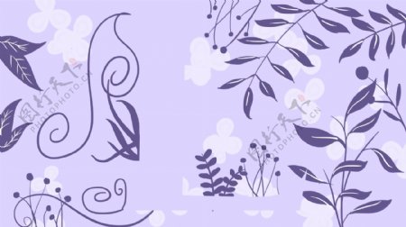 梦幻美丽紫色植物广告背景