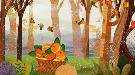 二十四节气霜降柿子树林插画背景