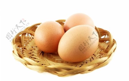 鸡蛋带硬壳鸡卵丰富蛋白质