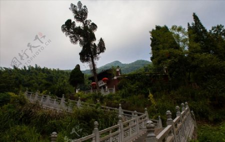 杨岐普通寺