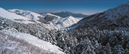 雪景冬天景色摄影