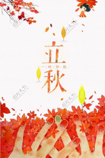 唯美立秋节气红枫叶背景