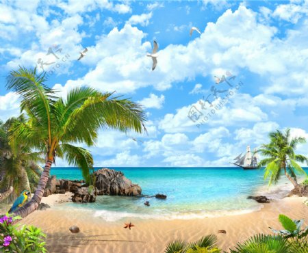 海滩椰子树
