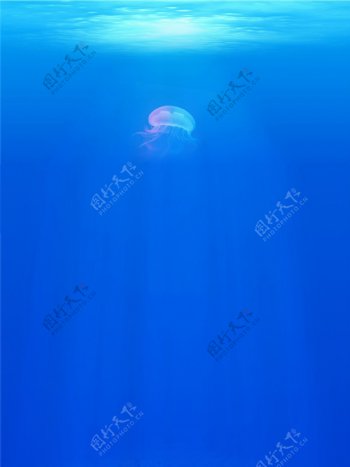 深海水母夏日蓝色渐变清凉商务背景