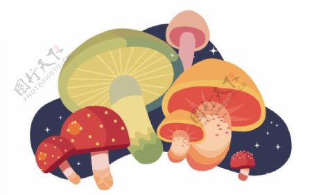 手绘蘑菇插画组合