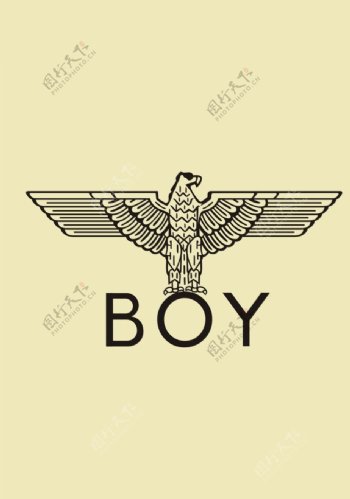 boy鹰