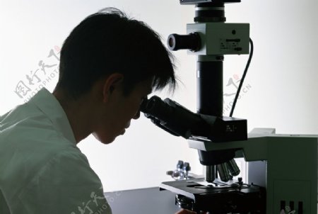 实验研究荧光显微镜