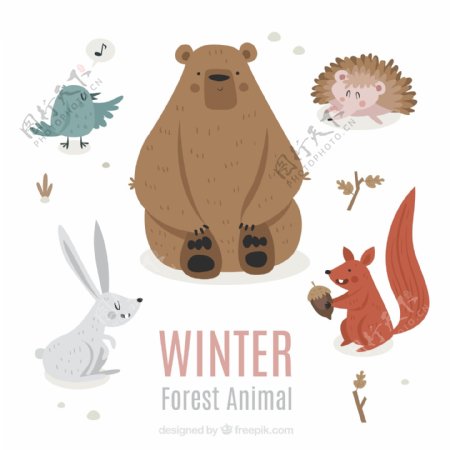 5款可爱冬季森林动物
