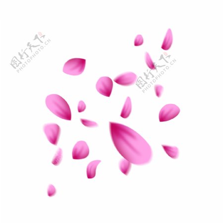飘浮素材飘落的花瓣桃花瓣电商页面海报装饰