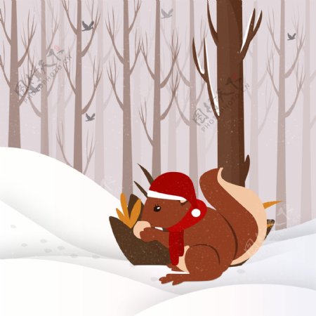 冬季雪地里觅食的小松鼠