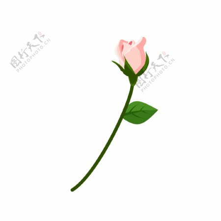 玫瑰花一支粉色装饰素材设计