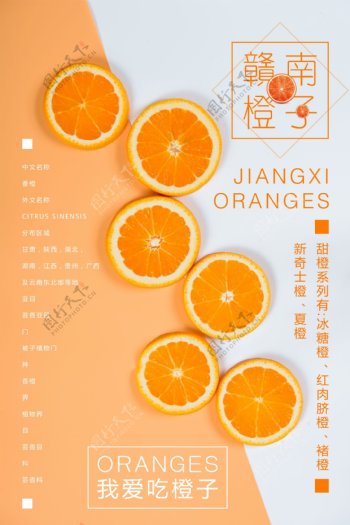 橙子水果画册封面设计