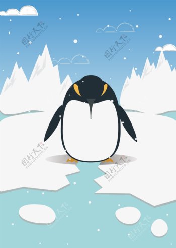 自然印记趋势南极企鹅原创插画小清新扁平