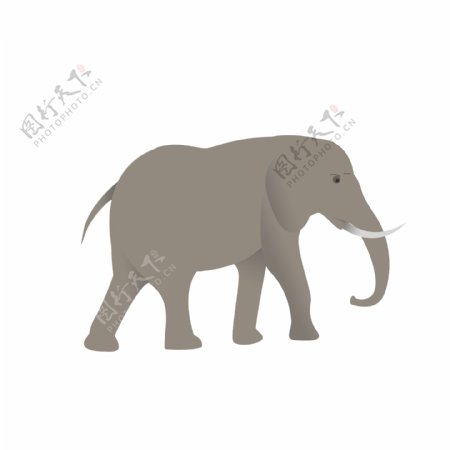 野生大象动物元素可商用